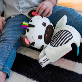 Baby Einstein Peluş Diş Kaşıyıcı Zebra Oyuncak - 4